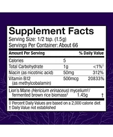 Host Defense BrainPower Stack Powder - Targeted Brain Support Supplement - Powder Mushroom Supplement with Lion's Mane, Niacin (B3) & Vitamin B12
