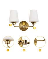 Flynama 2-Light White Plus Gold Bathroom Vanity Light with Shade