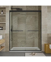 gaomon 44-48" W x 72" H Double Sliding Shower Door