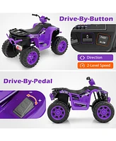 Hongge 24V Kids Ride-On Electric Atv with Wireless Connection for Toddlers 3-8 Years Old-Purple