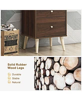 Sugift 2-Drawer Nightstand Beside End Side Table with Rubber Legs-Brown