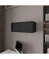 Fm Furniture Anegam Floating Cabinet with Sliding Door