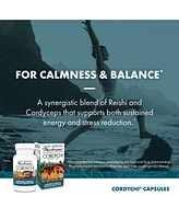 Host Defense CordyChi Capsules - Energy & Immune Support Supplement