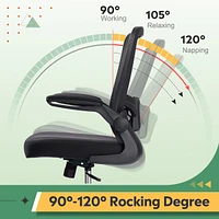 Galaxhero Heavy-Duty 300 lb Capacity Ergonomic Mesh Office Chair for Home & Gaming with Flip-Up Arms, Adjustable Lumbar Support and Tall Back