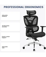 gaomon Ergonomic Office Chair, High Back Ergonomic Desk Chair with Adjustable Lumbar Support