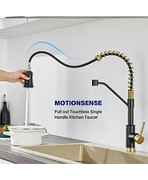 Flynama Pull out Touchless Single Handle Kitchen Faucet with MotionSense