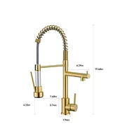 Flynama Spring Double Handles Deck Mount Pull Out Sprayer Kitchen Faucet with Clean Water Outlet