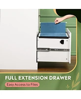 2-Drawer Wood Lateral File Cabinet with Lock for Home Office, White