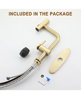Mondawe 360° Swivel Single Handle Pull Out Sprayer Kitchen Faucet