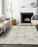 Addison Chantille Machine Washable ACN1009 8'x10' Area Rug