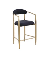 Streamdale Furniture Modern Boucle Bar Stools Set of 2 Modern Upholstered Bar Height Barstools Vintage High Island Chairs with Metal Frame/Back/Arms f