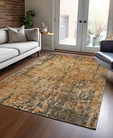 Addison Chantille Machine Washable ACN1203 8'x10' Area Rug