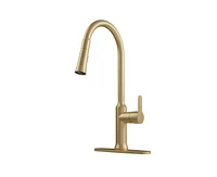 Casainc 1.8 Gpm Single-Handle Pull-Down Kitchen Faucet Single Hole