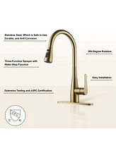 Casainc 1.8 Gpm Pull Down Kitchen Faucet with Deck Plate