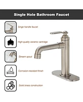 Casainc Single Hole Faucet Single-handle Bathroom Faucet with Drain Assembly