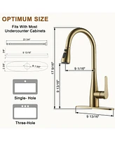 Casainc 1.8 Gpm Pull Down Kitchen Faucet with Deck Plate