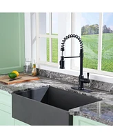 Casainc Single-Handle Spring Pull-Down Kitchen Faucet Single Hole Faucet 1.8 Gpm