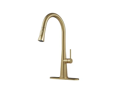 Casainc Pull Down Kitchen Faucet with Deck Plate