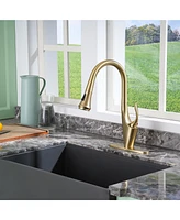 Casainc 1.8 Gpm Pull Down Kitchen Faucet with Deck Plate