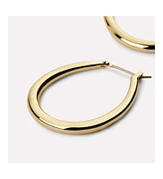 Ana Luisa Gold Hoop Earrings - Cuidado