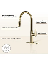 Casainc Single-Handle Pull-Down Kitchen Faucet Single Hole