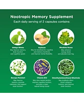 Nature's Craft Nootropic Memory Supplement for Brain Support + Iq, Memory Pills for Brain Boost & Natural Energy Booster Vitamin B12 Supplement, Natur