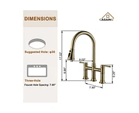 Casainc Kitchen Faucet with Pull Down Sprayer, 3 Modes Bridge Faucet