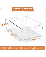 Sorbus 10 Pack Large Clear Plastic Storage Bins with Handle