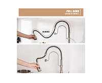 Casainc 1.8 Gpm Spring Neck Pull Down Kitchen Faucet with Deck Plate