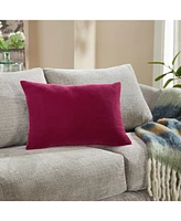 Ihi Home Stella Velvet Decorative Pillow ,14" x 20"