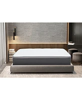 Primo International Symmetry2 10" Plush Pillowtop Mattress in a Box