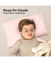 Cuddly Toddler Pillow with Pillowcase, 13X18 Kids for Sleeping, Small Travel Pillows, Nursery