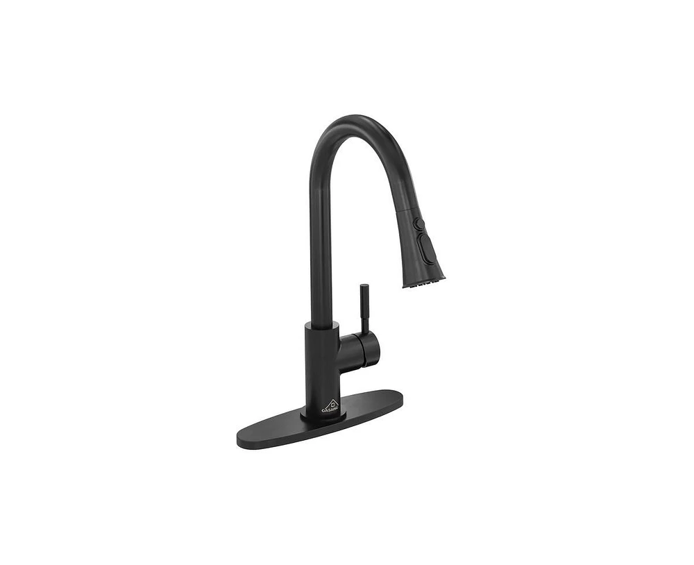 Casainc Pull Down Sprayer Kitchen Faucet with Dual-Function and Deck Plate Spot-Free