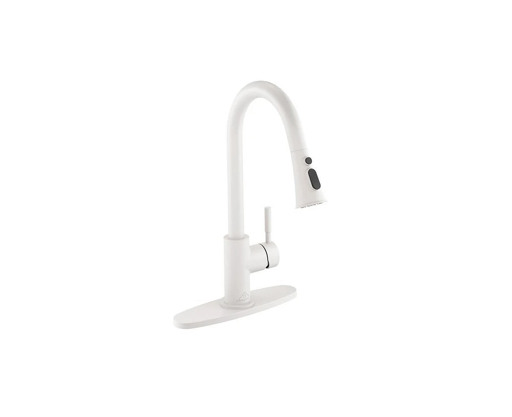 Casainc Pull Down Sprayer Kitchen Faucet with Dual-Function Sprayer and Deck Plate in Spot-Free