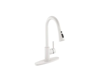 Casainc Pull Down Sprayer Kitchen Faucet with Dual-Function Sprayer and Deck Plate in Spot-Free