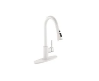 Casainc Pull Down Sprayer Kitchen Faucet with Dual-Function Sprayer and Deck Plate in Spot-Free