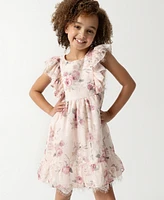 Rare Editions Little Girls Embroidered Chiffon with Lace Trim Dress