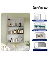 DeerValley 24'' W x 36'' H Led Lighted Wall Mounted Medicine Cabinets with Mirror and 2 Adjustable Shelves