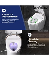 DeerValley Smart Bidet Toilet, Auto Open & Close, Heated Seat, Warm Water, Wireless Remote Control, Premium