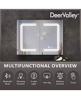 DeerValley Rectangular 31" W Double Doors Alumium Lighted Bathroom Mirros