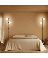 Equinox Modern Wall Plug-In Led Sconce Lamp with Glass Globe Shades (62")