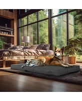 Bingopaw Dog Pet Pillow Bed Microfiber Leather Orthopedic 3D Superfiber Cushion Foldable Washable
