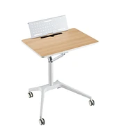 Gouun Height Adjustable Mobile Standing Desk with Detachable Holde