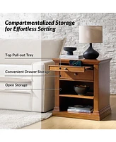 Hulala Home Mulo Traditional Nightstand with Three Ports and Adjustable Shelf