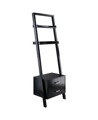 Slickblue Modern Black 2-Drawer Leaning Ladder Bookshelf Bookcase for Entryway Storage and Display