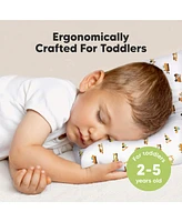 Jumbo Toddler Pillow with Pillowcase, 14X20 Soft Organic Pillows for Sleeping, Kids Travel