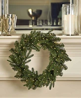 Seasonal 24" Dakota Pine Artificial Christmas Wreath, 50 Dual Led Lights