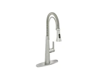 Casainc Spring Neck Standard Kitchen Faucet with Dual-Function spray head and Deck Plate