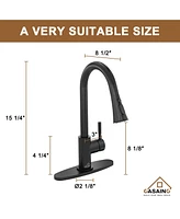 Casainc Pull Down Sprayer Kitchen Faucet with Dual-Function and Deck Plate Spot-Free