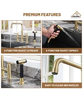 Casainc 2-Handle Bridge Kitchen Faucet with Pull-Out Side Sprayer